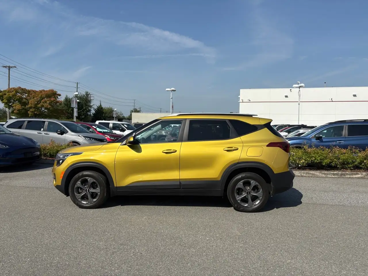 Kia Seltos photo Kia Seltos