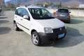 Fiat Panda 1.2 4x4 Blanc - thumbnail 3