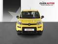 Fiat Panda 1.0 Hybrid 70CV Classic Amarillo - thumbnail 2