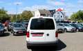 Volkswagen Caddy Nfz Kasten BMT 2.0D 1.Hd. KLIMA Scheckheft Weiß - thumbnail 7