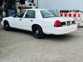 Ford Mustang Crown Victoria facelift Blanco - thumbnail 9