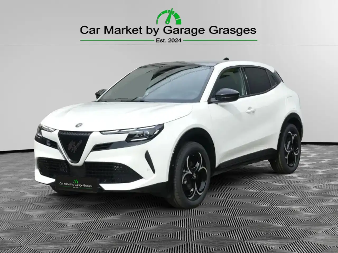 Alfa Romeo Junior 2026