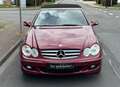 Mercedes-Benz CLK 320 CDI Cabrio Aut. *1.Hand*Scheckheft*Navi Červená - thumbnail 7