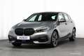 BMW 116 i Advantage Aut. 17er LIVE PROF R-KAMERA MEGAPREIS Gris - thumbnail 39