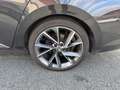 Skoda Superb Combi Sportline 2.0 TDI Noir - thumbnail 20