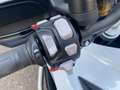 Triumph Tiger 1200 Explorer Full option! Garantie tot 2028! Wit - thumbnail 15