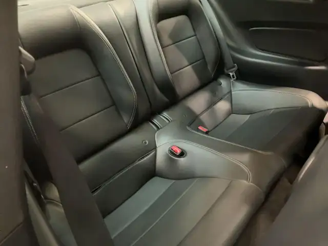 Ford Mustang view 8