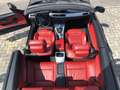 BMW 320 Serie 3 E93 Cabrio 320d Cabrio Eletta 184cv Nero - thumbnail 6