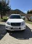 Toyota Land Cruiser Prado Executive Blanco - thumbnail 1