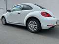 Volkswagen Beetle White - thumbnail 5