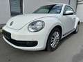 Volkswagen Beetle White - thumbnail 1