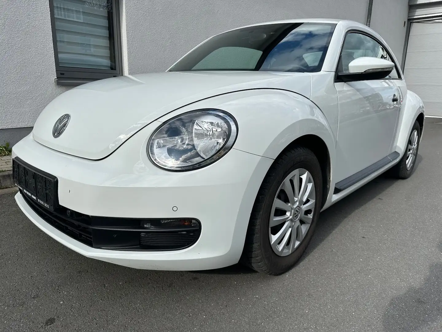 Volkswagen Beetle Bílá - 1
