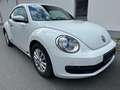 Volkswagen Beetle White - thumbnail 3