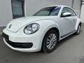 Volkswagen Beetle White - thumbnail 2