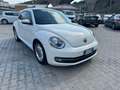 Volkswagen New Beetle 1.6 TDI 105 CV Білий - thumbnail 8