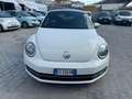 Volkswagen New Beetle 1.6 TDI 105 CV Білий - thumbnail 1
