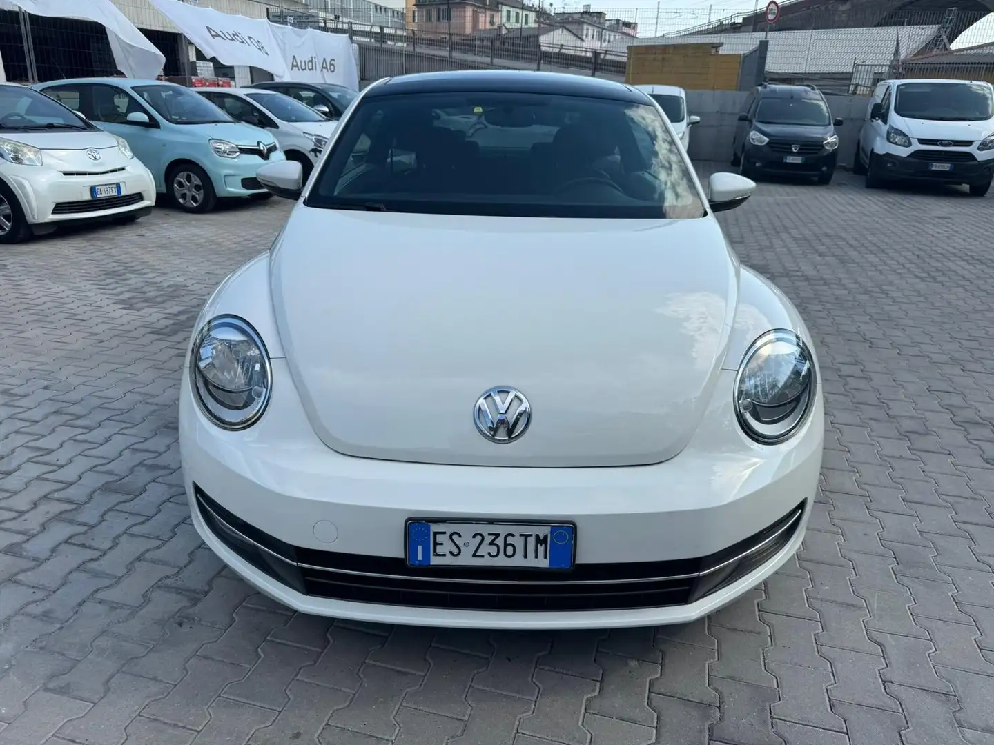 Volkswagen New Beetle 1.6 TDI 105 CV Білий - 1