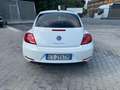 Volkswagen New Beetle 1.6 TDI 105 CV Білий - thumbnail 5