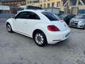 Volkswagen New Beetle 1.6 TDI 105 CV Білий - thumbnail 4