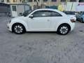 Volkswagen New Beetle 1.6 TDI 105 CV Білий - thumbnail 3