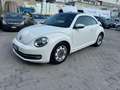 Volkswagen New Beetle 1.6 TDI 105 CV Білий - thumbnail 2