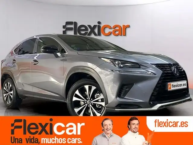 Lexus NX 300 300h Premium 2WD