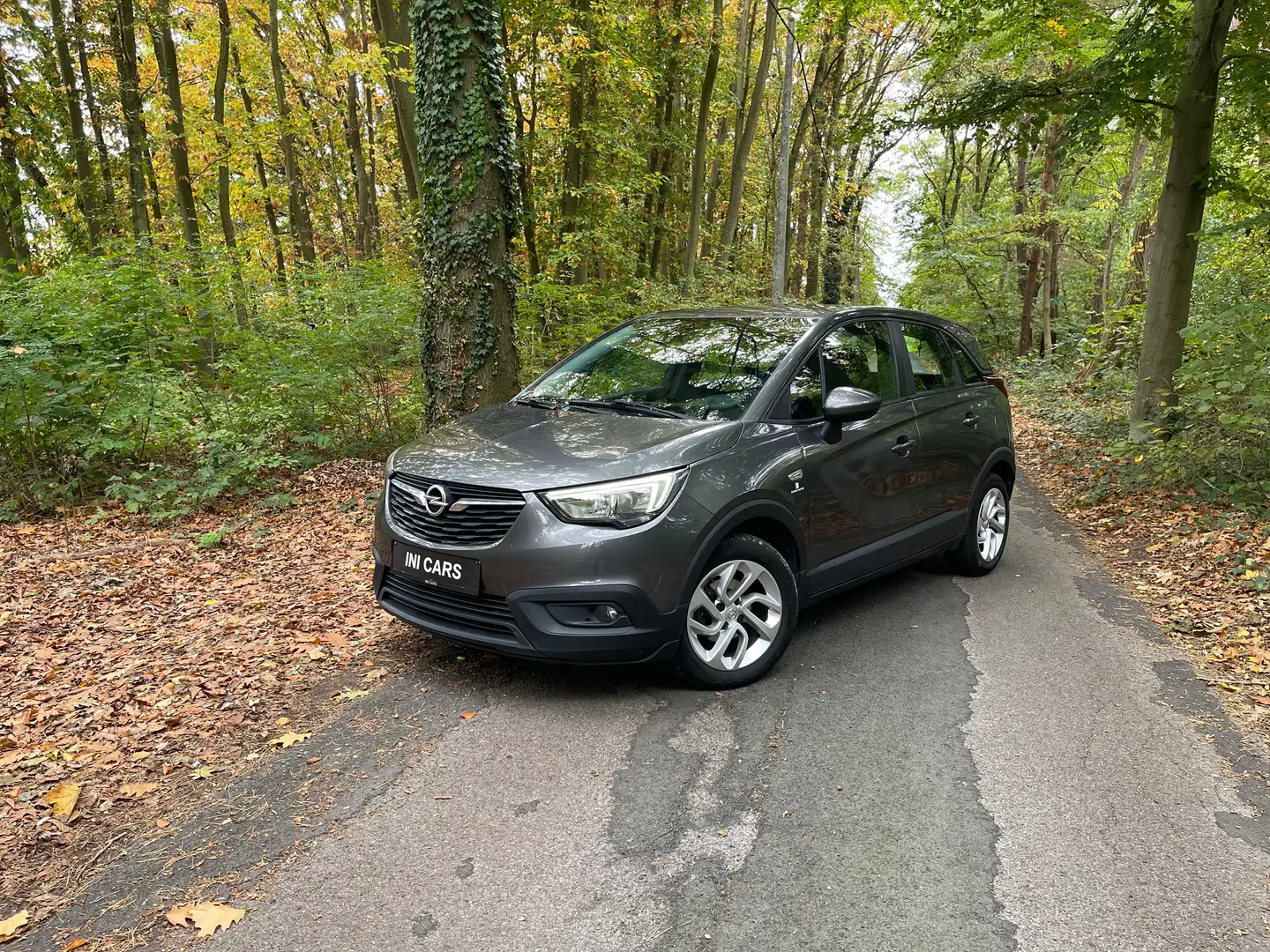 Opel Crossland X Crossland X 1.2 Design Line Gris - 2