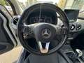 Mercedes-Benz B 180 Sport B 180 D BlueEFFICIENCY Білий - thumbnail 18