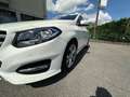Mercedes-Benz B 180 Sport B 180 D BlueEFFICIENCY Білий - thumbnail 9