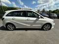Mercedes-Benz B 180 Sport B 180 D BlueEFFICIENCY Білий - thumbnail 6