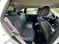 Mercedes-Benz B 180 Sport B 180 D BlueEFFICIENCY Білий - thumbnail 15