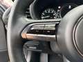Mazda 3 Skyactiv-X 186 Selection HUD Navi Soundsystem Bose Grau - thumbnail 29