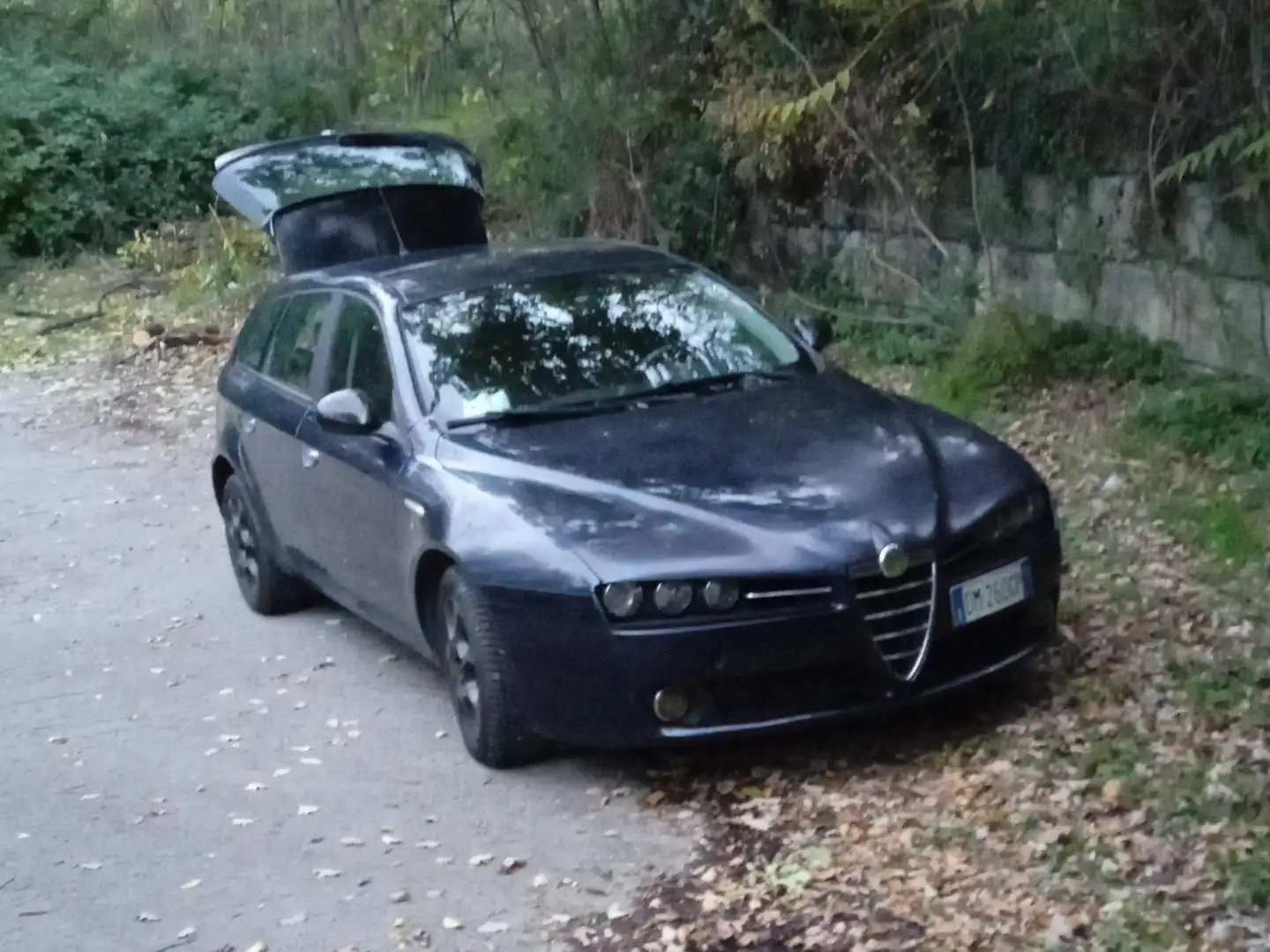 Alfa Romeo 159 159 SW 1.9 jtdm 8v 120cv Modrá - 1