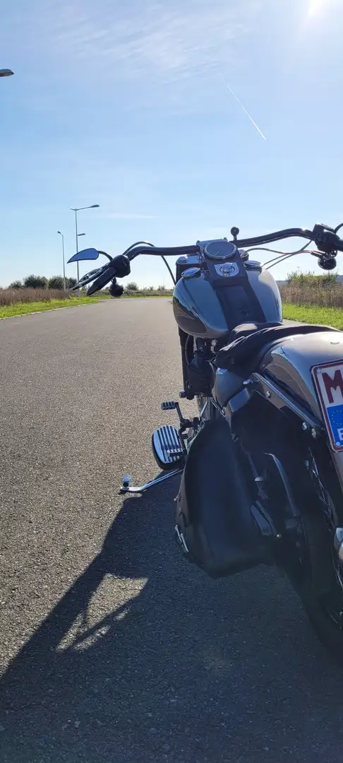Harley-Davidson Softail Brons - 2