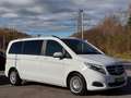 Mercedes-Benz V 250 d CDI/BT/d EDITION kompakt/Kamera Blanco - thumbnail 4