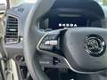 Skoda Karoq Selection 1.5 TSI Navi DigiCock LED Kamera Grau - thumbnail 22