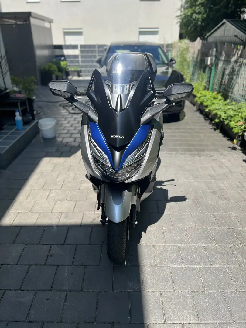 Honda Forza 125 Smartbox! 1. Hand! ALLE Service bei Honda gemacht! - 2