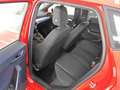 SEAT Ibiza FR Black Edition 1.0 TSI DSG / Navi, LED Rot - thumbnail 9