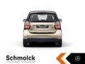 smart forTwo fortwo EQ EXCLUSIVE+22KW+GJR+LED+KAMERA+PANO+SHZ Gelb - thumbnail 7