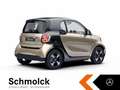 smart forTwo fortwo EQ EXCLUSIVE+22KW+GJR+LED+KAMERA+PANO+SHZ žuta - thumbnail 6