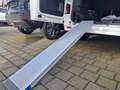 Renault Trafic Combi 2.0 L2H1 LIFE *9Sitzer, Sitzheizung* Blanco - thumbnail 25