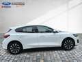 Ford Focus Hybrid  Titanium Navi Kamera Voll-LED Blanc - thumbnail 19