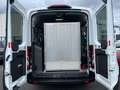 Ford Transit Kombi 310 L3*Rollstuhlladerampe/9 Sitze Weiß - thumbnail 4