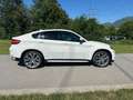 BMW X6 X6 xDrive40d Österreich-Paket Aut. Österreich-Paket Weiß - thumbnail 6