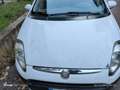 Fiat Punto Evo Punto III  Evo 5p 1.2 Active s - thumbnail 3