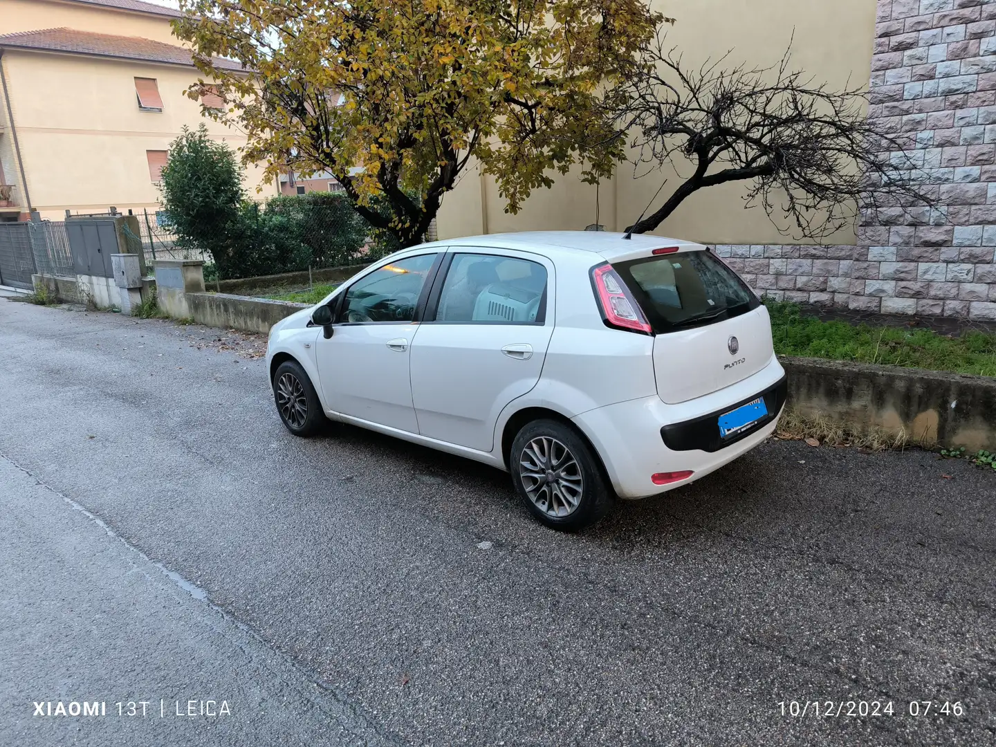 Fiat Punto Evo Punto III  Evo 5p 1.2 Active s - 1