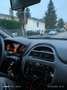 Fiat Punto Evo Punto III  Evo 5p 1.2 Active s - thumbnail 5