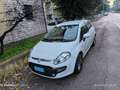Fiat Punto Evo Punto III  Evo 5p 1.2 Active s - thumbnail 6