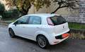 Fiat Punto Evo Punto III  Evo 5p 1.2 Active s - thumbnail 2