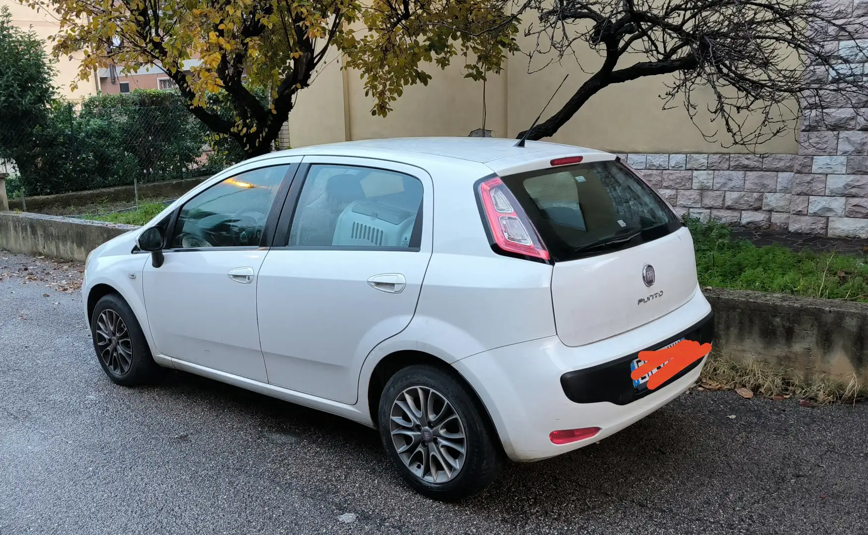 Fiat Punto Evo Punto III  Evo 5p 1.2 Active s - 2